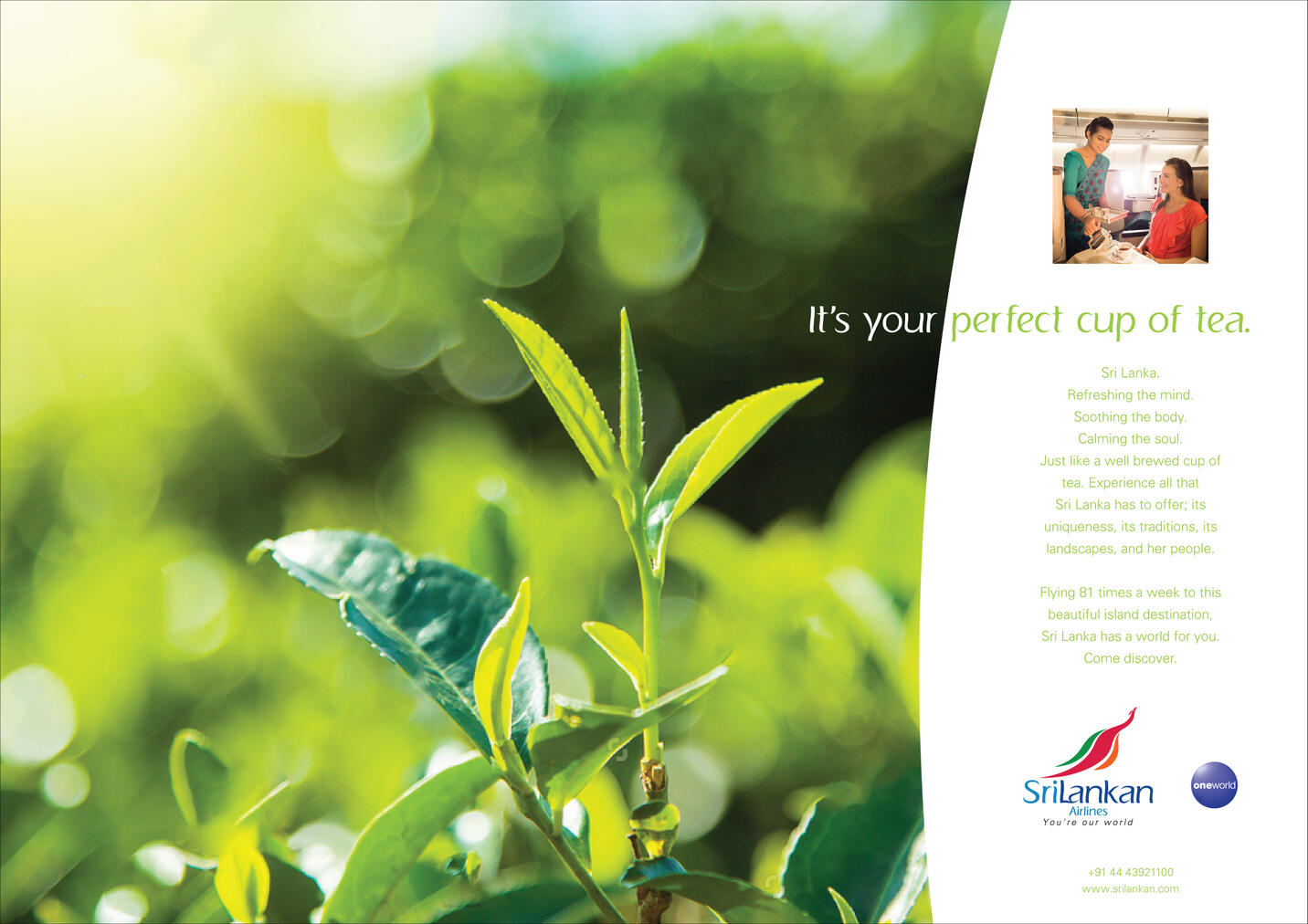 Your perfect cup of tea - SriLankan Airlines, Food &amp; Health Magazine Campaign