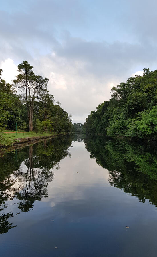 &quot;Stillness&quot; - Sigiriya, Sri Lanka