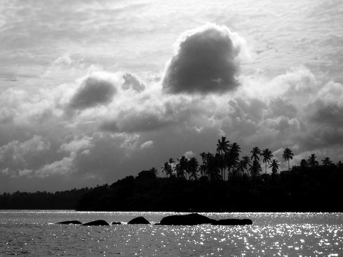 &quot;Relief&quot; - Madu River, Sri Lanka