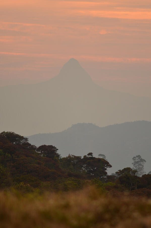 &quot;A Horton x Adam Sunset&quot; - Horton Plains, Sri Lanka