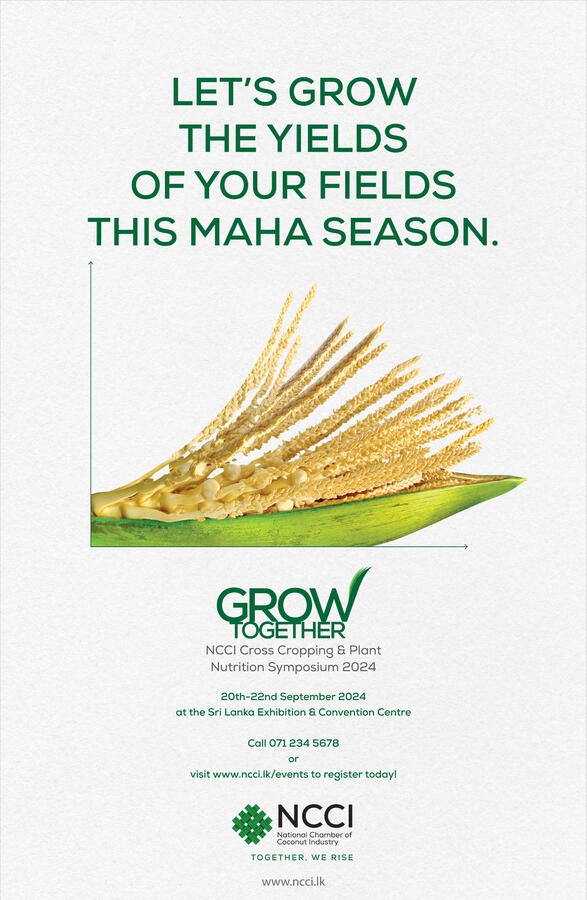 National Chamber of Coconut Industry - Visual Identity and Launch Campaign Pitch - Tactical Ads